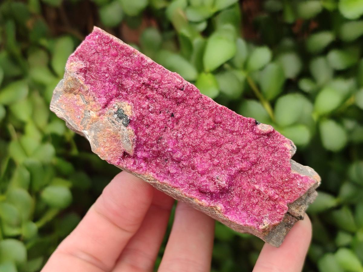 Natural Salrose Cobaltion Dolomite Specimens x 3 From Kakanda, Congo
