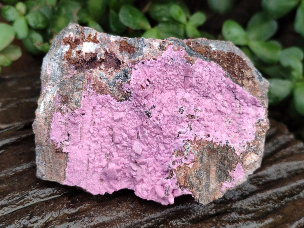 Natural Salrose Cobaltion Dolomite Specimens x 3 From Kakanda, Congo