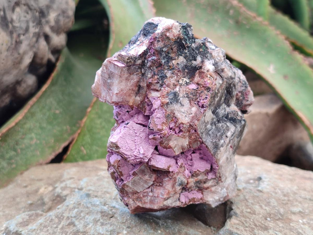 Natural Salrose Cobaltion Dolomite Specimens x 3 From Kakanda, Congo