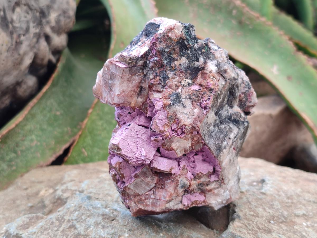 Natural Salrose Cobaltion Dolomite Specimens x 3 From Kakanda, Congo