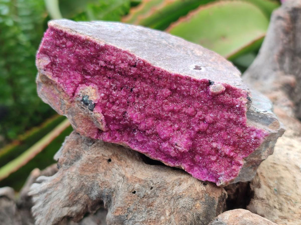 Natural Salrose Cobaltion Dolomite Specimens x 3 From Kakanda, Congo