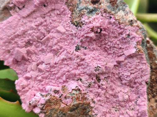 Natural Salrose Cobaltion Dolomite Specimens x 3 From Kakanda, Congo