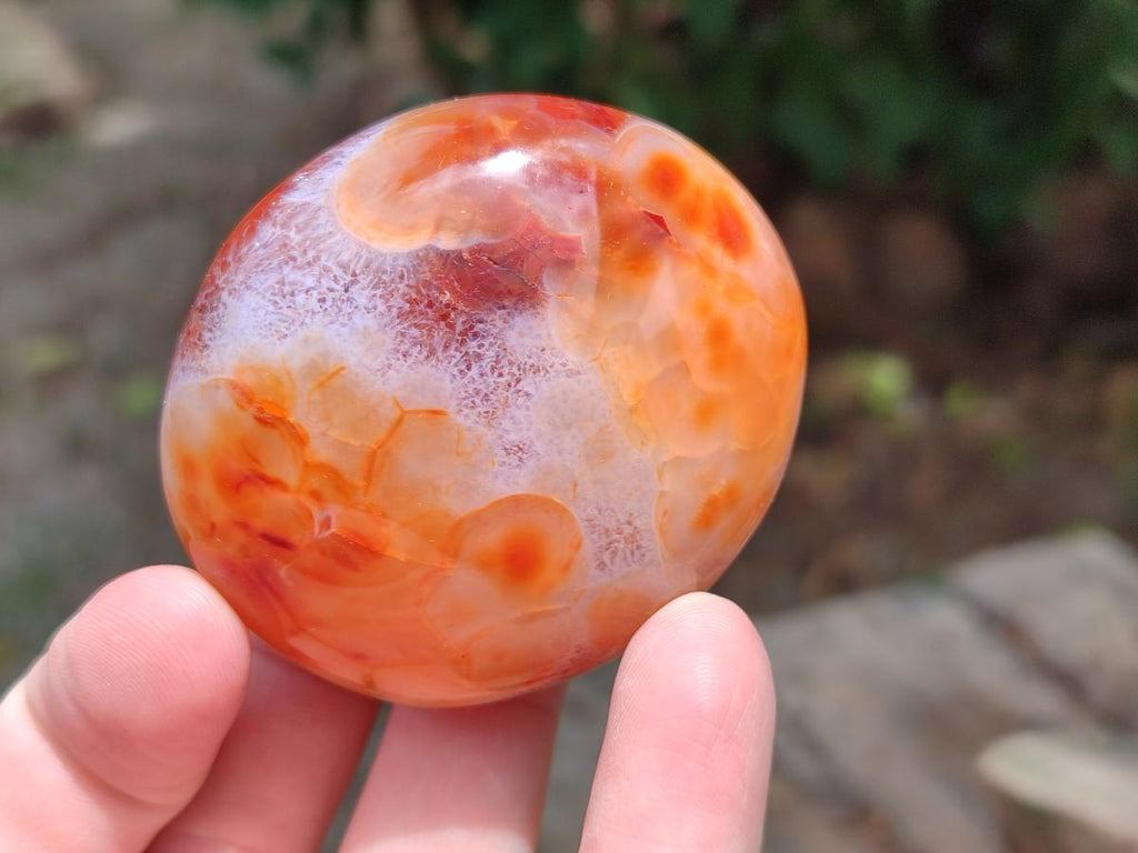 Polished Carnelian Agate Gemstone Galets x 12 From Madagascar