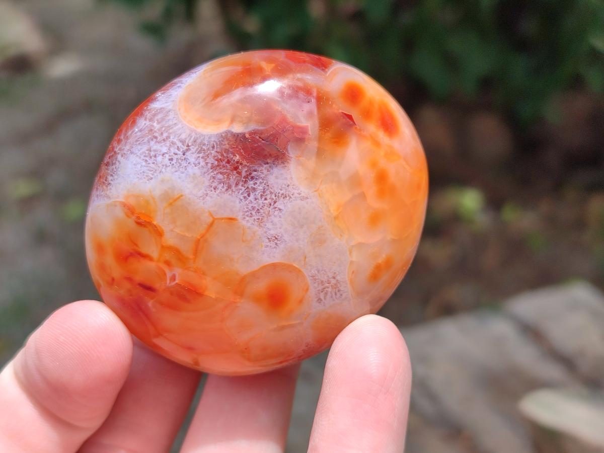 Polished Carnelian Agate Gemstone Galets x 12 From Madagascar