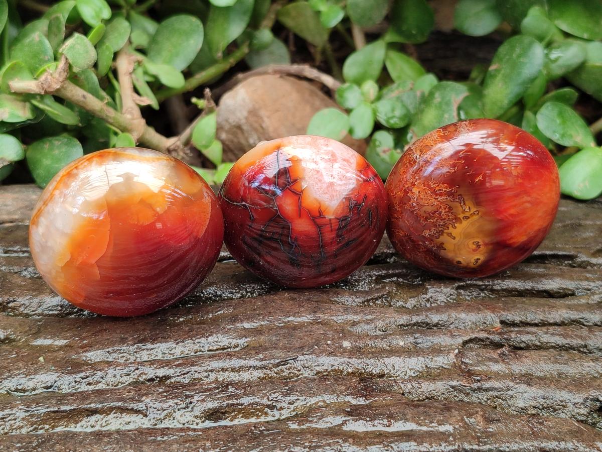 Polished Carnelian Agate Gemstone Galets x 12 From Madagascar