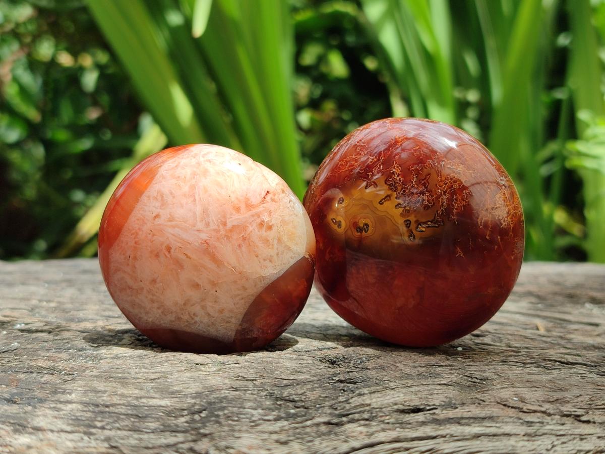 Polished Carnelian Agate Gemstone Galets x 12 From Madagascar