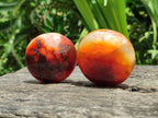Polished Carnelian Agate Gemstone Galets x 12 From Madagascar