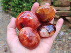 Polished Carnelian Agate Gemstone Galets x 12 From Madagascar