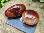 Polished Carnelian Agate Gemstone Galets x 12 From Madagascar