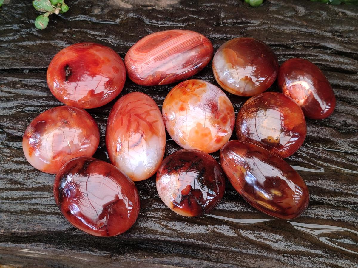 Polished Carnelian Agate Gemstone Galets x 12 From Madagascar