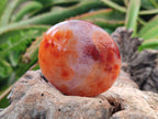 Polished Carnelian Agate Gemstone Galets x 12 From Madagascar