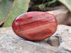 Polished Carnelian Agate Gemstone Galets x 12 From Madagascar