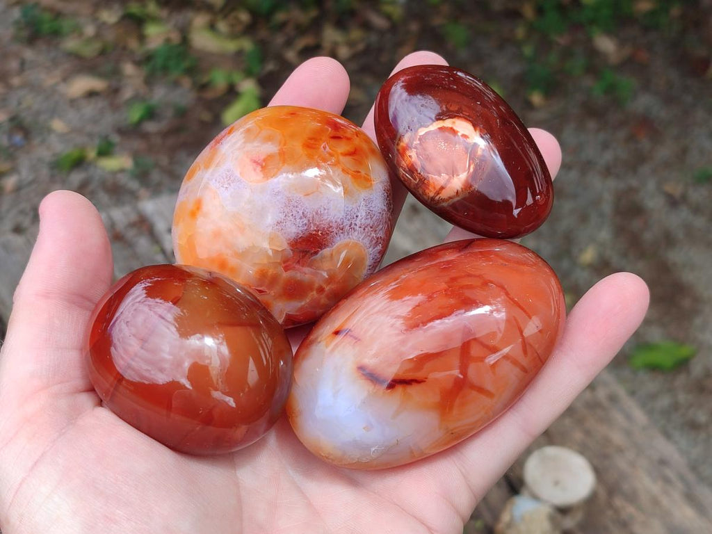 Polished Carnelian Agate Gemstone Galets x 12 From Madagascar