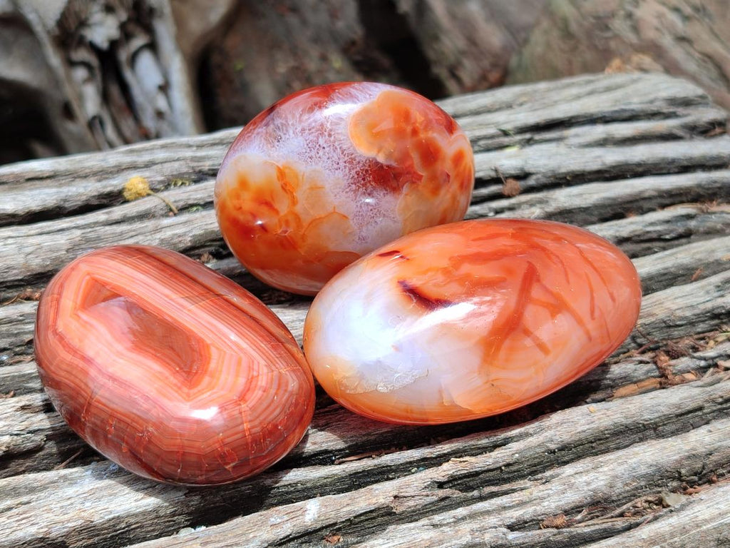 Polished Carnelian Agate Gemstone Galets x 12 From Madagascar
