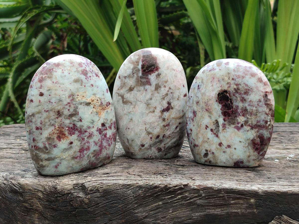 Polished Rubellite Pink Tourmaline Standing Free Forms x 3 From Ambatondrazaka, Madagascar
