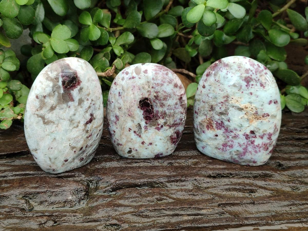 Polished Rubellite Pink Tourmaline Standing Free Forms x 3 From Ambatondrazaka, Madagascar