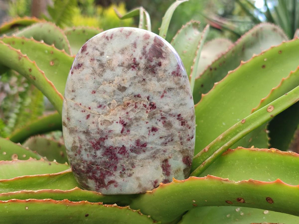 Polished Rubellite Pink Tourmaline Standing Free Forms x 3 From Ambatondrazaka, Madagascar