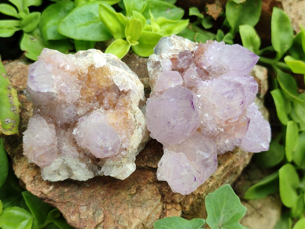 Natural Amethyst Spirit Clusters x 6 From Boekenhouthoek, South Africa