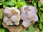 Natural Amethyst Spirit Clusters x 6 From Boekenhouthoek, South Africa