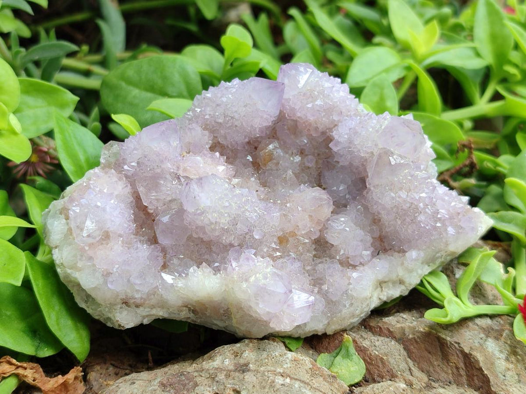 Natural Amethyst Spirit Clusters x 6 From Boekenhouthoek, South Africa