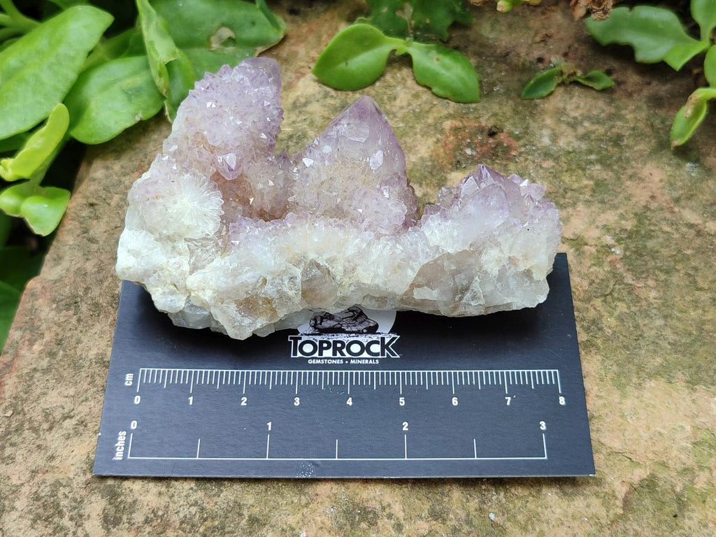 Natural Amethyst Spirit Clusters x 6 From Boekenhouthoek, South Africa
