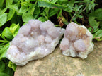 Natural Amethyst Spirit Clusters x 6 From Boekenhouthoek, South Africa