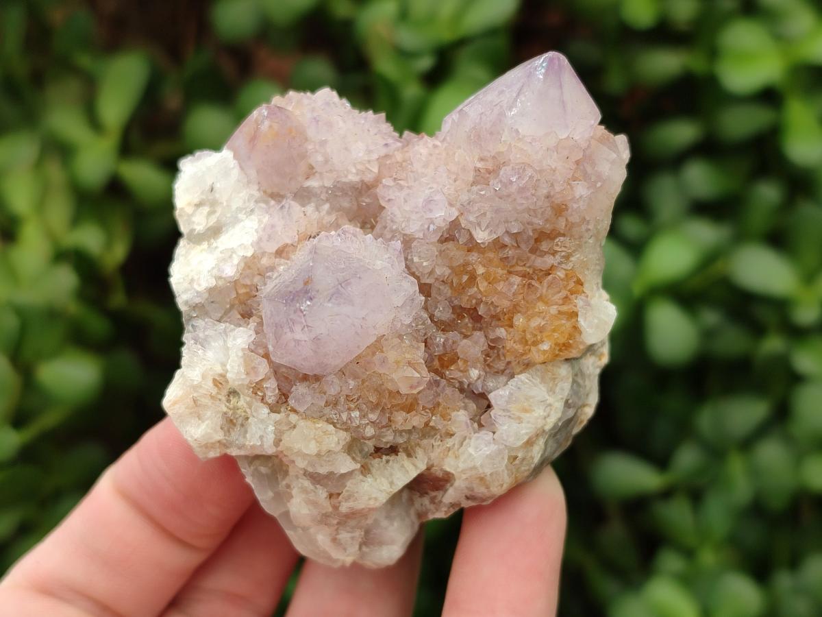 Natural Amethyst Spirit Clusters x 6 From Boekenhouthoek, South Africa