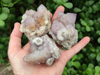 Natural Amethyst Spirit Clusters x 6 From Boekenhouthoek, South Africa