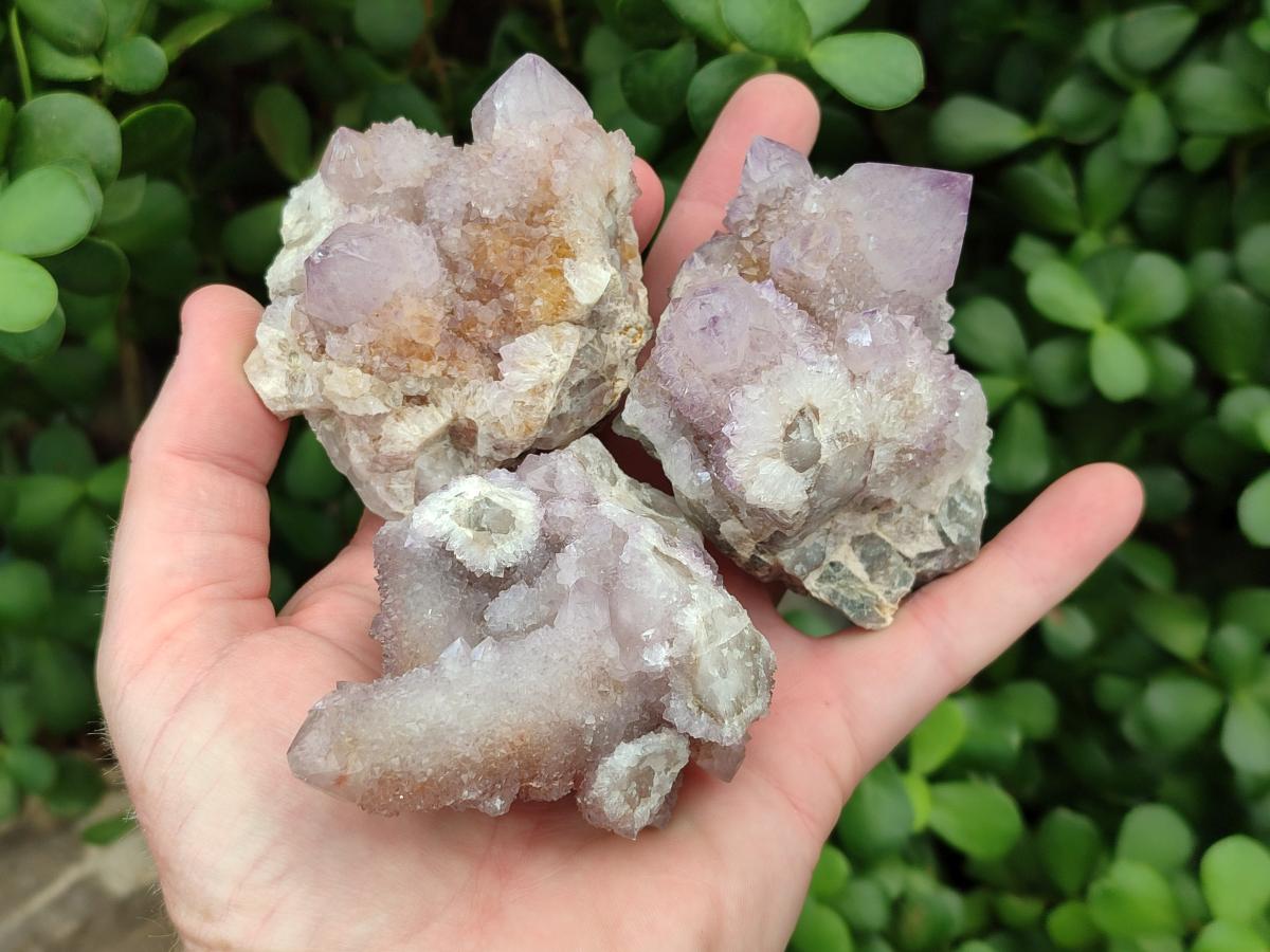 Natural Amethyst Spirit Clusters x 6 From Boekenhouthoek, South Africa