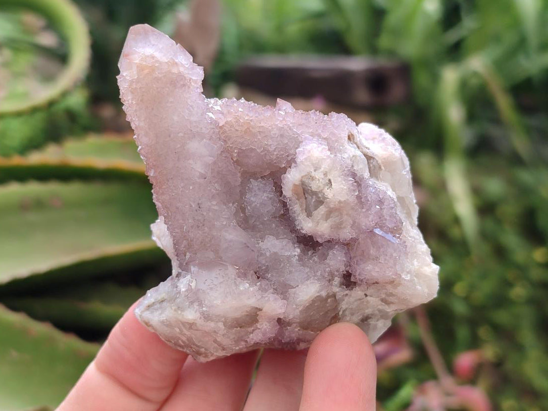 Natural Amethyst Spirit Clusters x 6 From Boekenhouthoek, South Africa