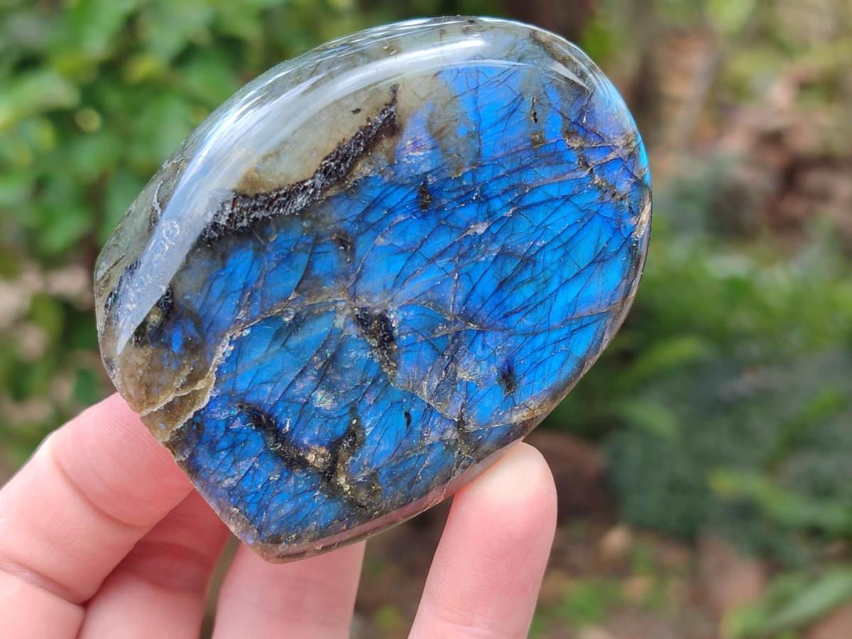 Polished Labradorite Standing Free Forms x 6 From Madagascar