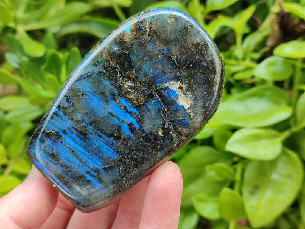 Polished Labradorite Standing Free Forms x 6 From Madagascar