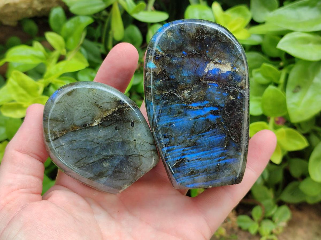 Polished Labradorite Standing Free Forms x 6 From Madagascar