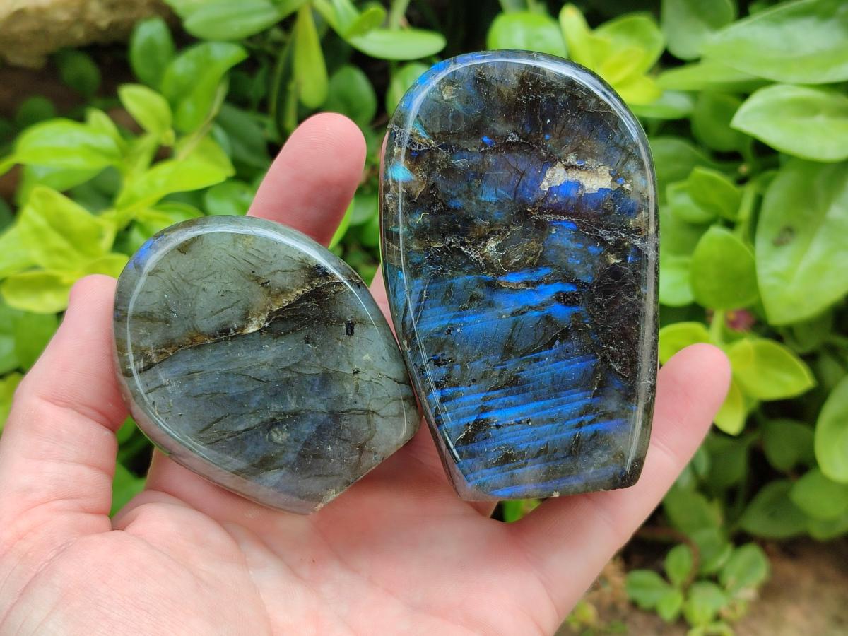 Polished Labradorite Standing Free Forms x 6 From Madagascar