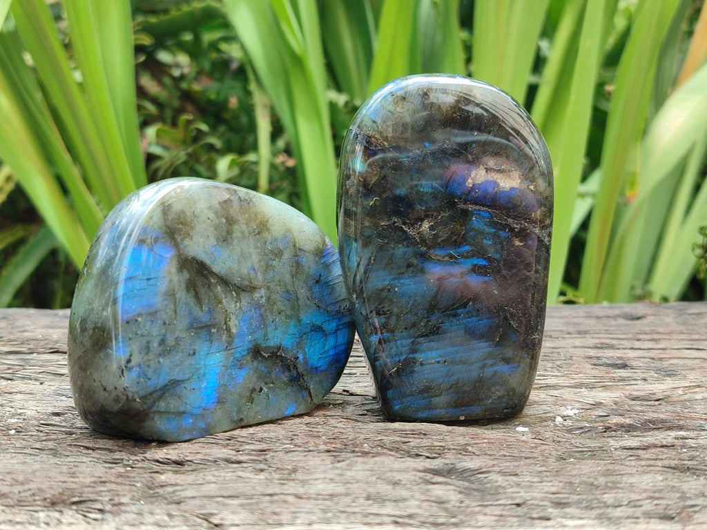 Polished Labradorite Standing Free Forms x 6 From Madagascar