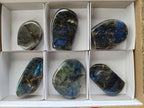 Polished Labradorite Standing Free Forms x 6 From Madagascar