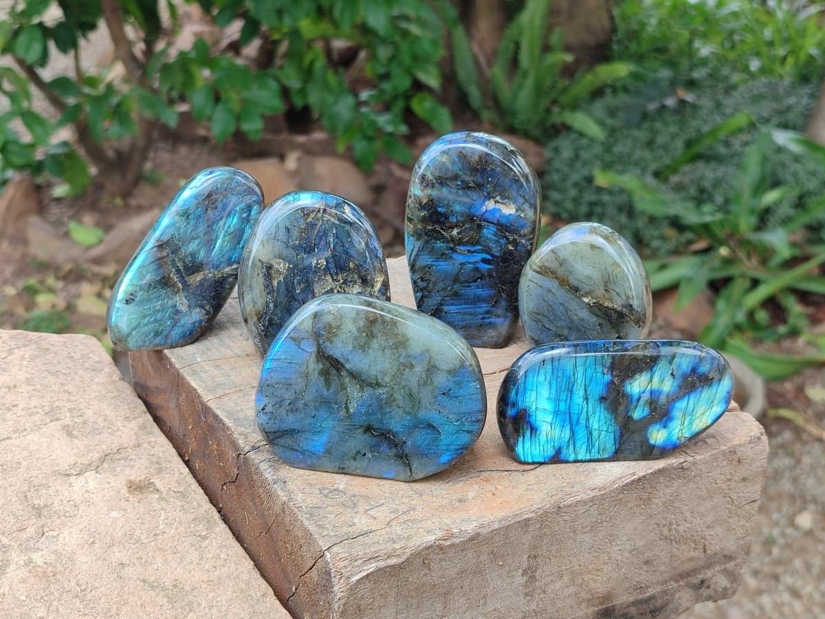 Polished Labradorite Standing Free Forms x 6 From Madagascar