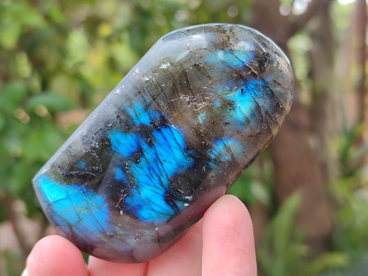 Polished Labradorite Standing Free Forms x 6 From Madagascar