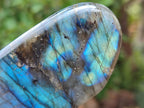 Polished Labradorite Standing Free Forms x 6 From Madagascar
