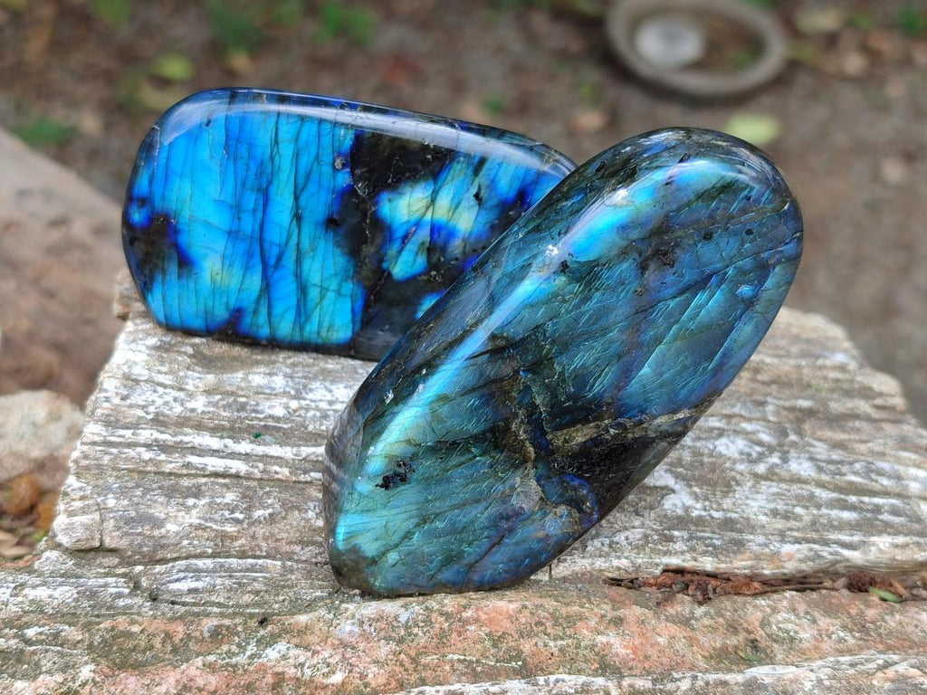 Polished Labradorite Standing Free Forms x 6 From Madagascar