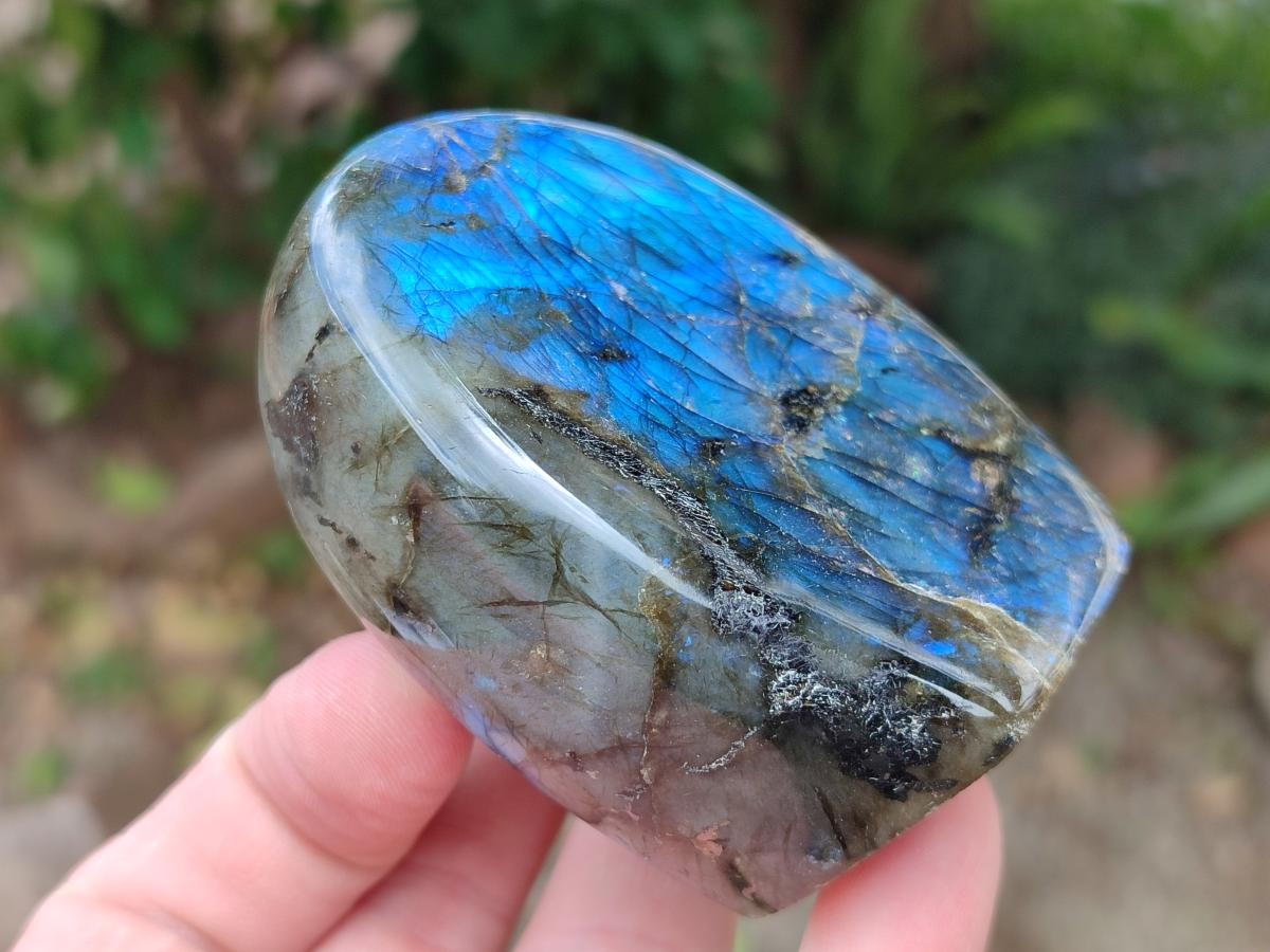 Polished Labradorite Standing Free Forms x 6 From Madagascar