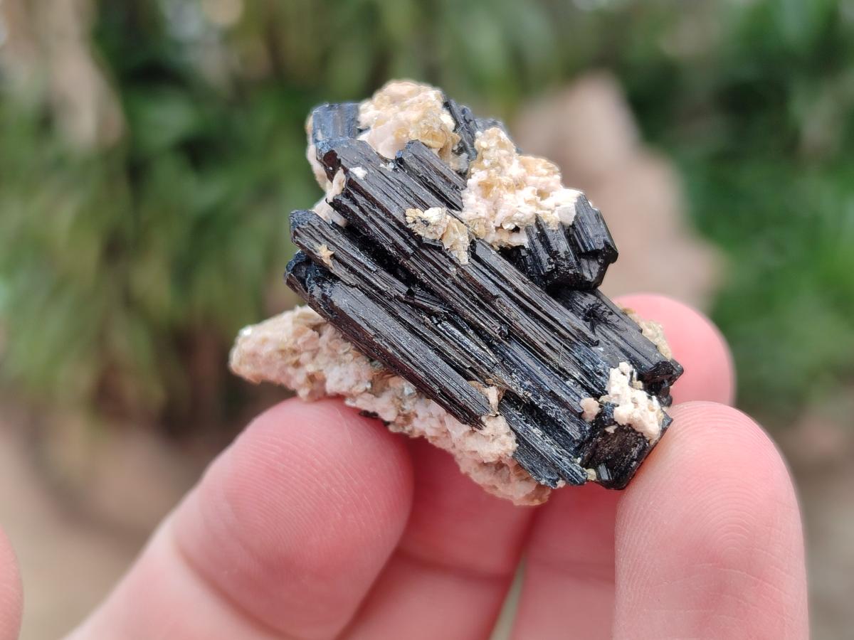Natural Schorl Black Tourmaline with Vermiculite Specimens x 70 From Erongo, Namibia