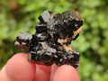 Natural Schorl Black Tourmaline with Vermiculite Specimens x 70 From Erongo, Namibia