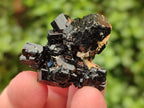 Natural Schorl Black Tourmaline with Vermiculite Specimens x 70 From Erongo, Namibia