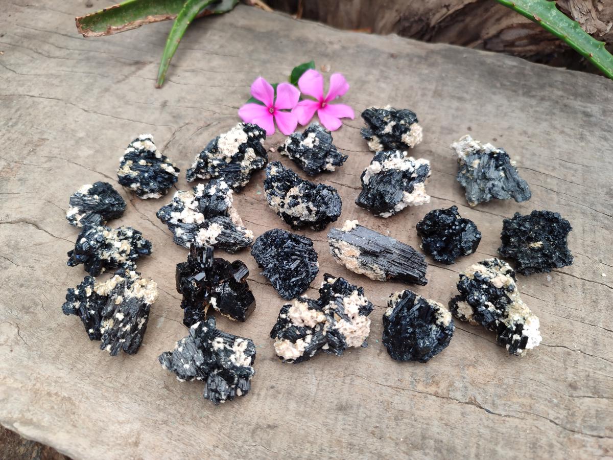 Natural Schorl Black Tourmaline with Vermiculite Specimens x 70 From Erongo, Namibia