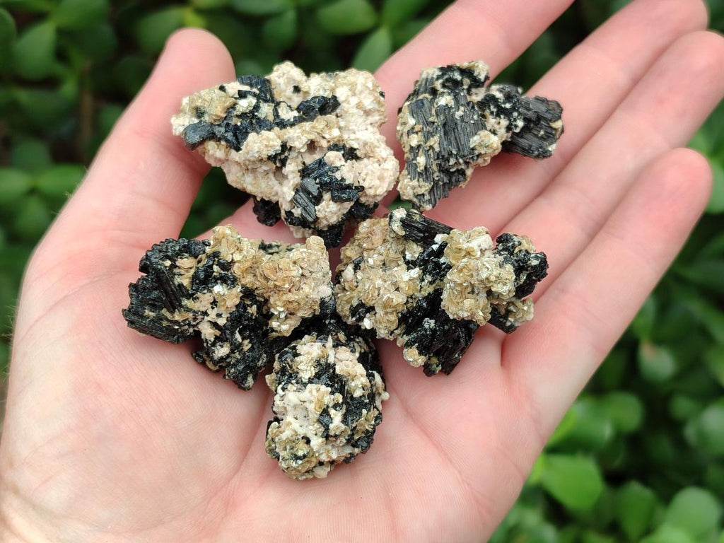 Natural Schorl Black Tourmaline with Vermiculite Specimens x 70 From Erongo, Namibia