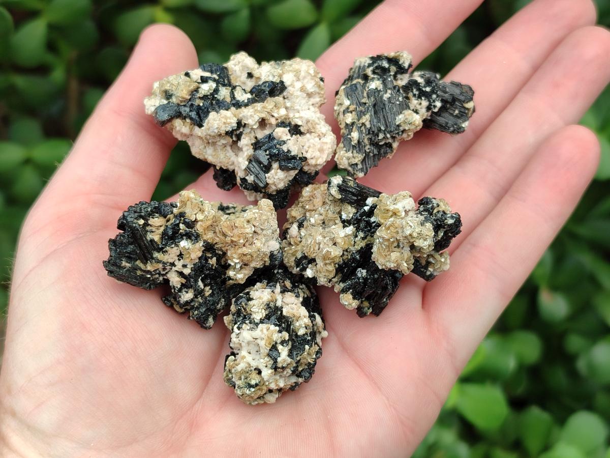 Natural Schorl Black Tourmaline with Vermiculite Specimens x 70 From Erongo, Namibia