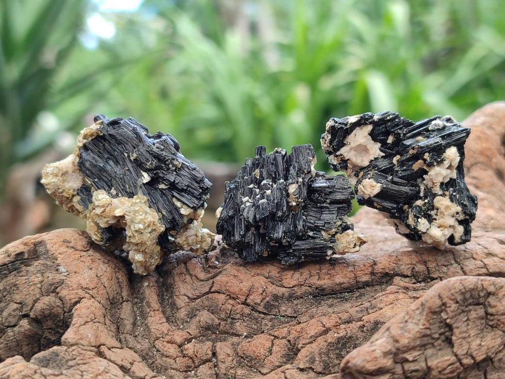 Natural Schorl Black Tourmaline with Vermiculite Specimens x 70 From Erongo, Namibia