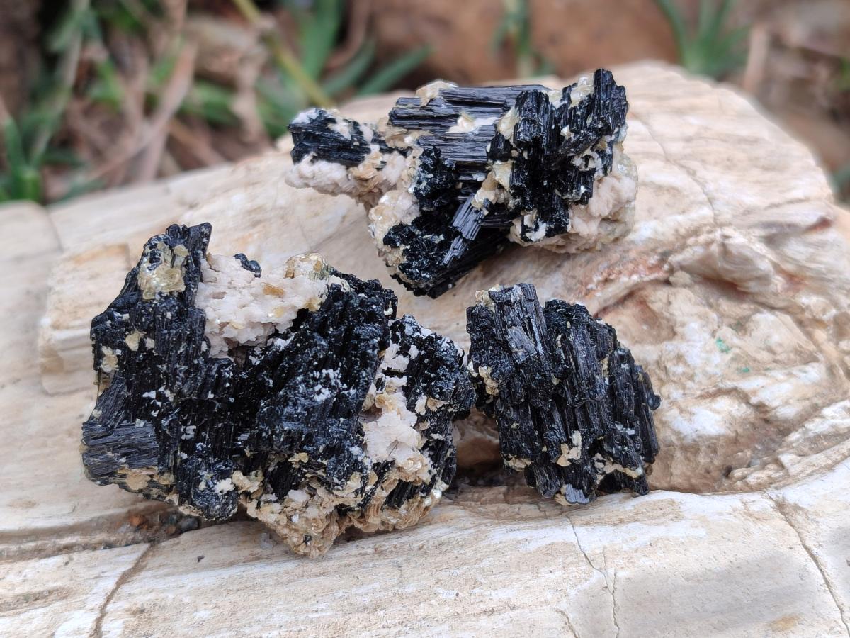 Natural Schorl Black Tourmaline with Vermiculite Specimens x 70 From Erongo, Namibia