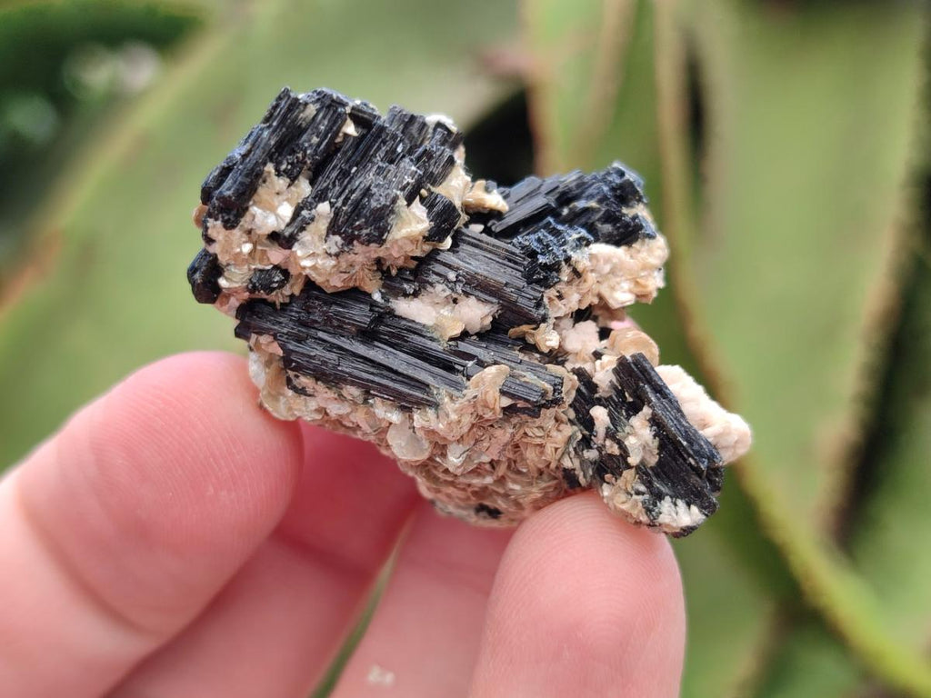Natural Schorl Black Tourmaline with Vermiculite Specimens x 70 From Erongo, Namibia